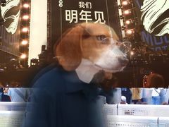 -郑州银基国际旅游度假区