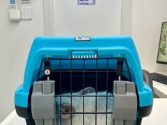 -立德异宠动物医院.兔鸟爬.内窥镜(天河店)