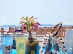 -海岛日记(养马岛店)