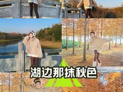 -上海海湾国家森林公园