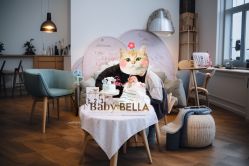 -baby bella小贝拉母婴护理中心(珠海华发公寓店)