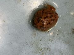 -万达广场(南京江宁店)