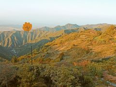 -云顶山风景区