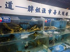 -胖姐渔村(中源大道店)