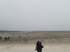 -红树林天天赶海