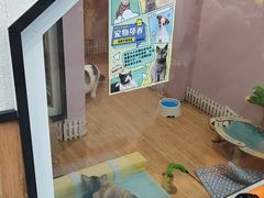 -联合动物医院(光谷诊疗中心)