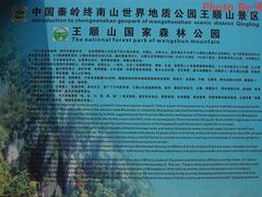 -王顺山国家森林公园