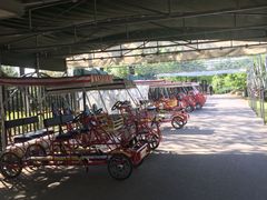 -永定河休闲森林公园