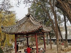 -莲池书院博物馆