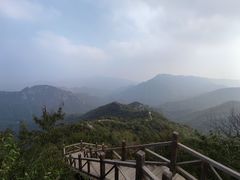 -大岭沟猕猴桃谷风景区