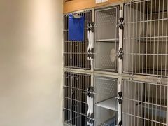 -御宝贝·A梦猫科宠物医院(国际猫友好医院)