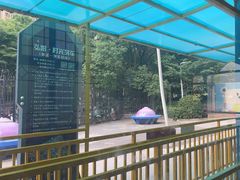 -弘阳·未来世界(弘阳广场店)