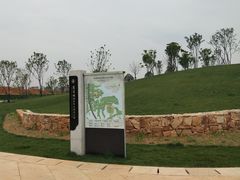 -盘龙城国家考古遗址公园