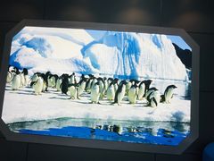 -汉堡王(海昌海洋公园店)