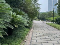 -龙头寺公园