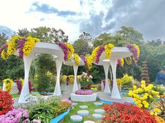 -上海共青森林公园