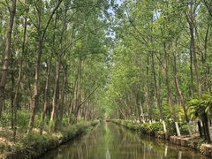 -合肥滨湖国家森林公园