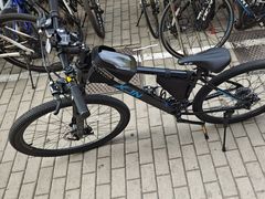 -道路口单车爱瓦士dahon大行