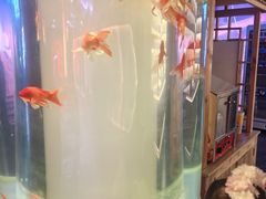 -明湖楼·经典鲁菜山东海鲜(大明湖店)