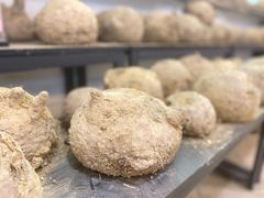 -台山第一家兴华黄鳝饭·黄鳝婆(开平店)