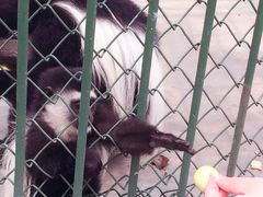 -秦皇岛野生动物园
