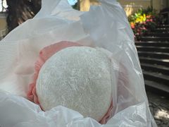 -澳门长洲糯米糍(柯打苏沙街店)