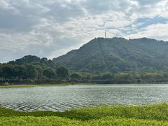 -风云岭森林公园