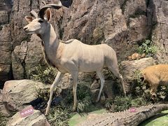 -陕西自然博物馆