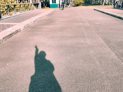 -福田红树林生态公园