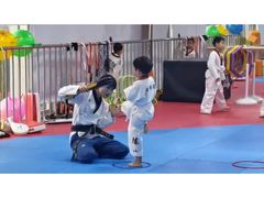 -陈中跆拳道(中关村馆)