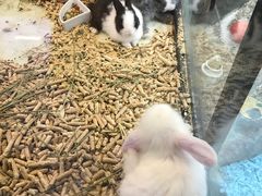 -宠物世家(仲盛世界商城店)