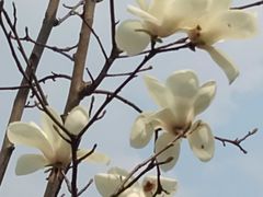 -江南大学(蠡湖校区)