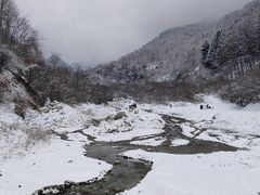 -卧龙自然保护区