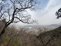 -北京鹫峰国家森林公园