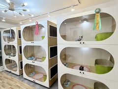 -青奢宠物·青奢猫舍