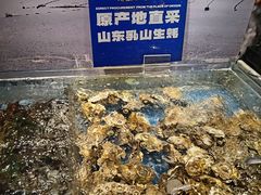 -亚马逊海鲜自助(梅溪湖步步高店)