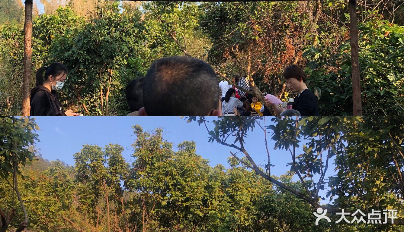 同安遛娃好去处✔️锦仔山生态乐园