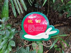 -呀诺达热带雨林