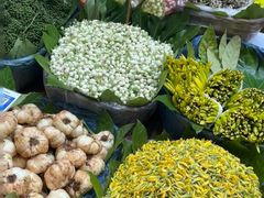 -呈贡滇池生态湿地公园