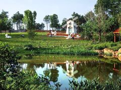 -铁山坪森林公园