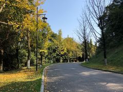 -铁山坪森林公园