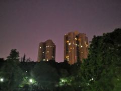 -龙头寺公园
