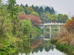 -八大山人梅湖景区