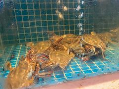 -妈妈菜舟山海鲜(定海古城店)
