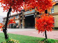 -南宫五洲植物乐园