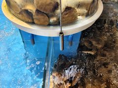 -黑木原精致料理·铁板烧
