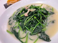 -上海新锦江大酒店