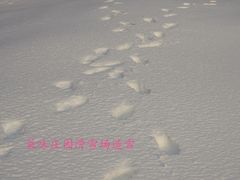 -采薇庄园四季滑雪场