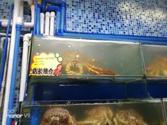 -蚝专家(北滘店)