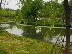 -东郊湿地公园